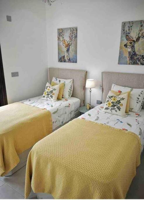 Bahia Homes Torrevieja Eksteriør bilde
